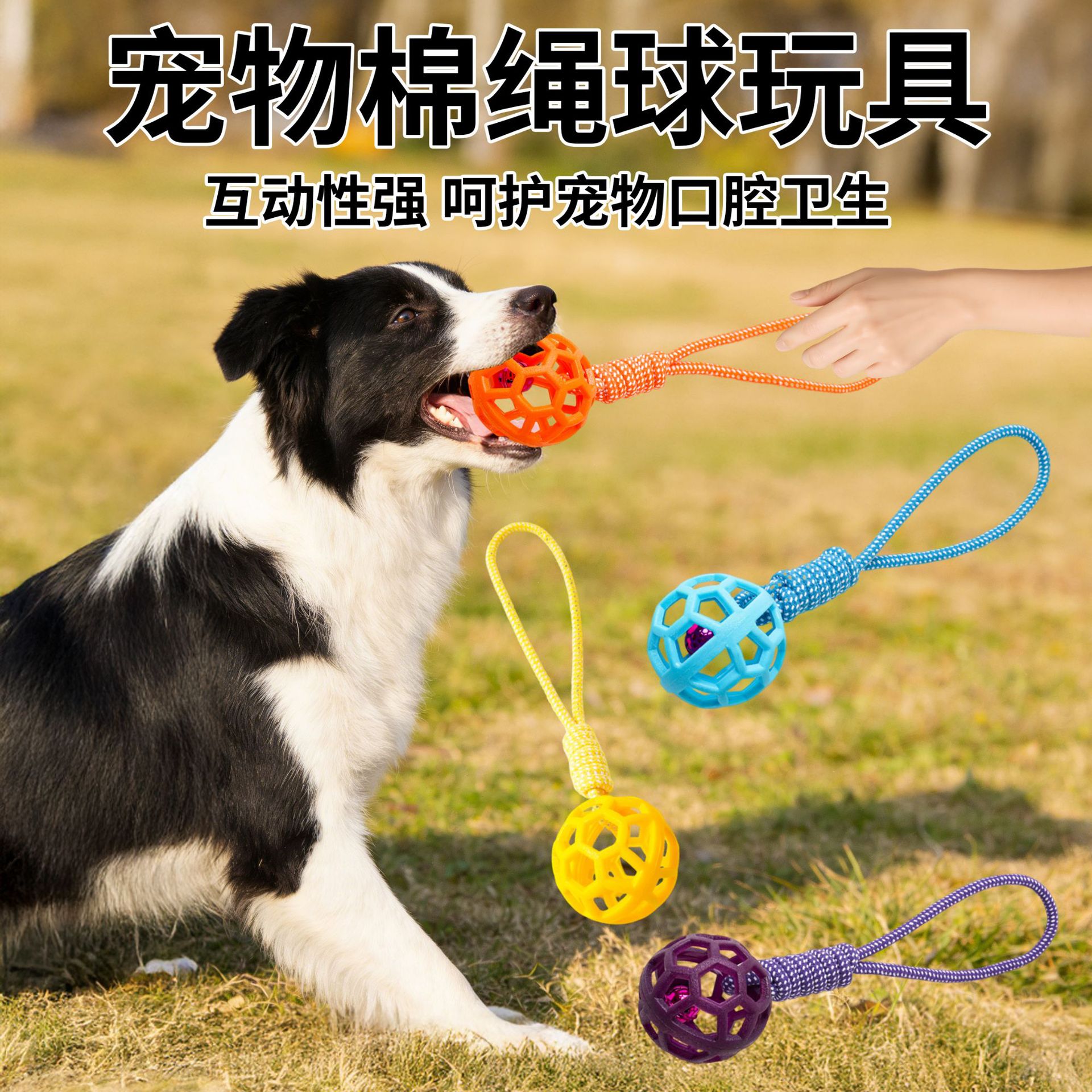 interactive toy