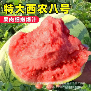 ���r��̖���ϷN���ش�߮a�Нh���ʹ����ϷN�Ѵ������ļ�����ˮ��