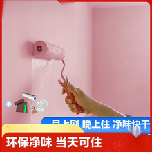 内墙乳胶漆室内室外家用白色自刷粉墙漆涂料彩色油漆墙面修复无味