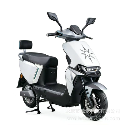 Electric Motorcycle with 275-10 | Elektrikli motosikletlər