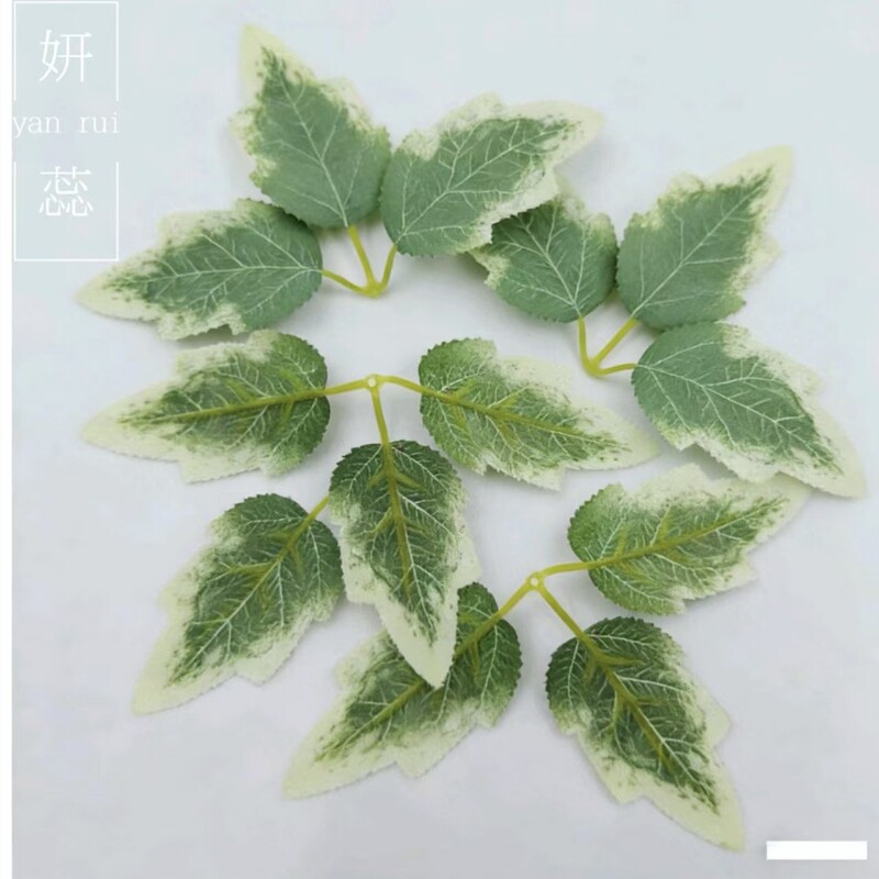 Simulated White-Edged Chrysanthemum Leaves, Rose Leaves, Eucalyptus Leaves, DIY Green Plant Decoration, Photography Scenery Background Accessories Wholesale Simulated White-Edged Chrysanthemum Leaves, Rose Leaves, Eucalyptus Leaves, DIY Green Plant Decoration, Photography Scenery Background Accessories Wholesale