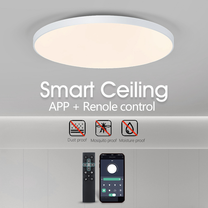 LED ceiling light for living room