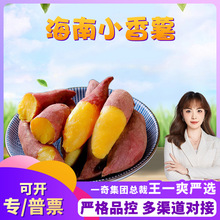 【严选】海南小香薯 代发1/9斤新鲜生红薯香生迷你小红地瓜番薯
