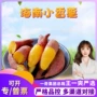 海南小红新鲜迷你生红薯