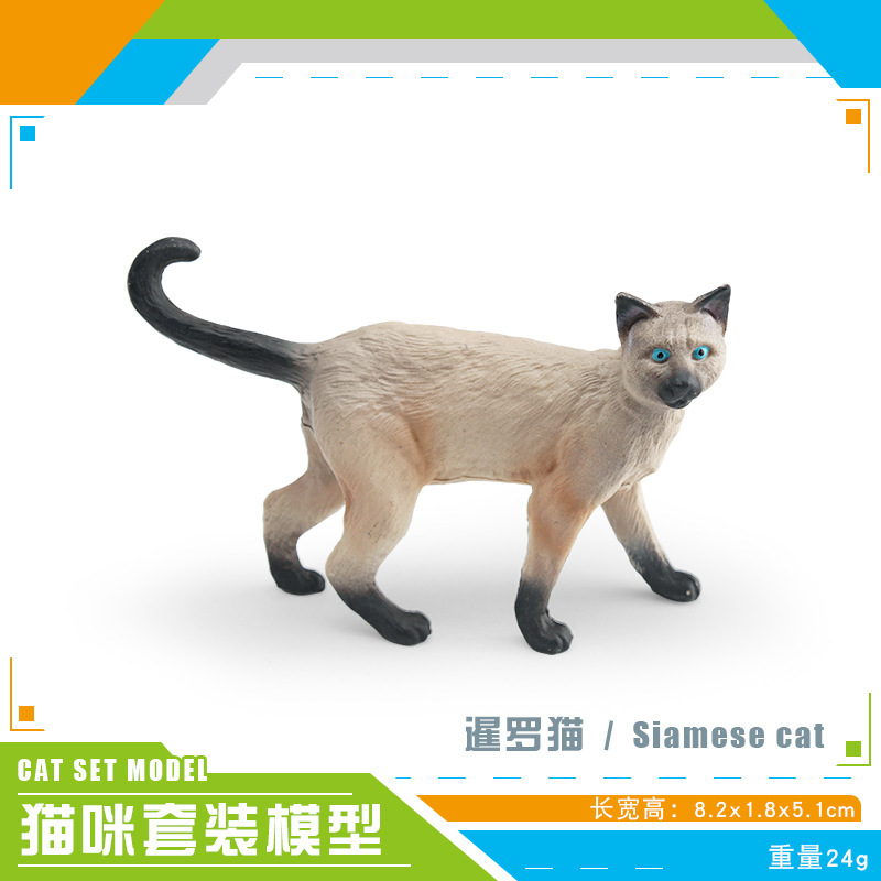 Pl127 - 3520 Siam CAT 24G