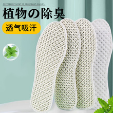 һ�����lС����ֲ������Ӻ��޲�Ь�|��������͸���ļ����Sֱ�l