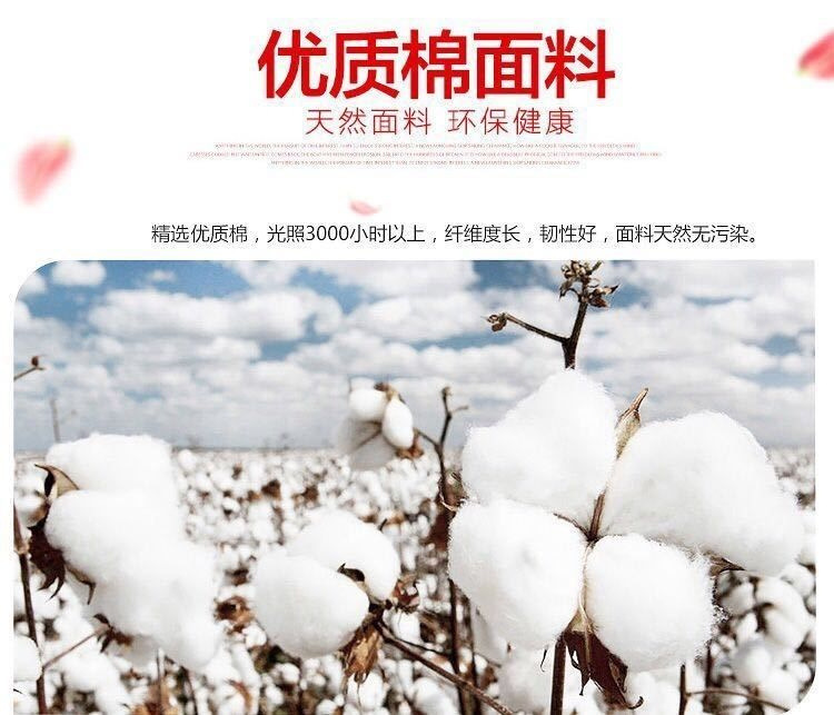 24396716-9527-4579-864d-91a2e8d58fb5.jpe