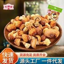 紅耕謠姬松茸干貨250g新鮮松茸菌菇農家土特產蘑菇煲湯材料一件代