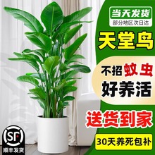 ����ֲ���҃ȾGֲ���B���k���ҿ͏d���ȥ��ȩ�辰����