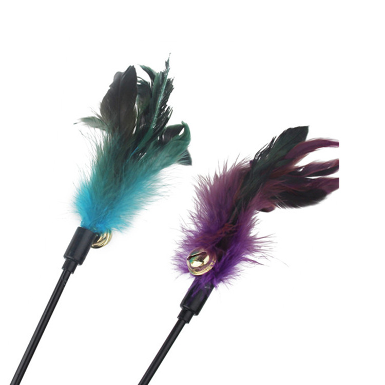 IMG_2640_副本_副本