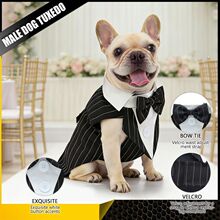 ���R�d��������b��Y���Ցc��Ӣ���L��ɫ��β�Y������·�