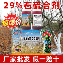 29%石硫合剂杀螨杀菌剂农药红蜘蛛介壳虫白粉病果树腐烂病清园
