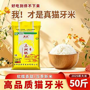 25�ꮔ�����|����50��z�����L�����ͥ�b�Fĥ�F�l���l����