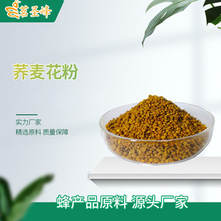 ���� �����w������ �w���仨�� ���ֱ�ɷ仨�ۏS�����l