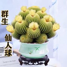 ���Ⱥ�����^�������z���_��Ⱥ���������҃����k�������Է�ݗ��