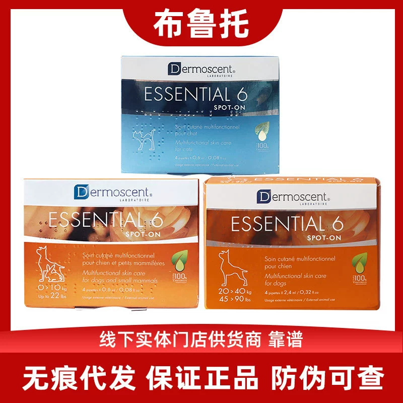 Золотая Точка Капли Французский Демекс Домашнее Животное Кошка Собака Кожа Пао Капли Точка