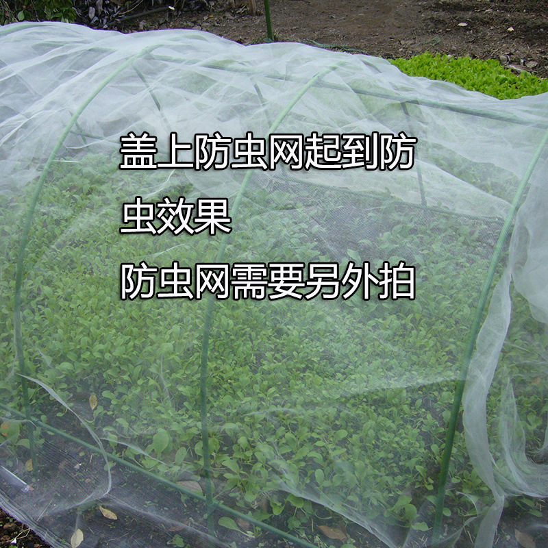 プラスチックと曲がりくねった園芸温室の棚膜鋼管の保温は曲がりくねった防虫網の小屋のブラケットを組み合わせることができます。|undefined