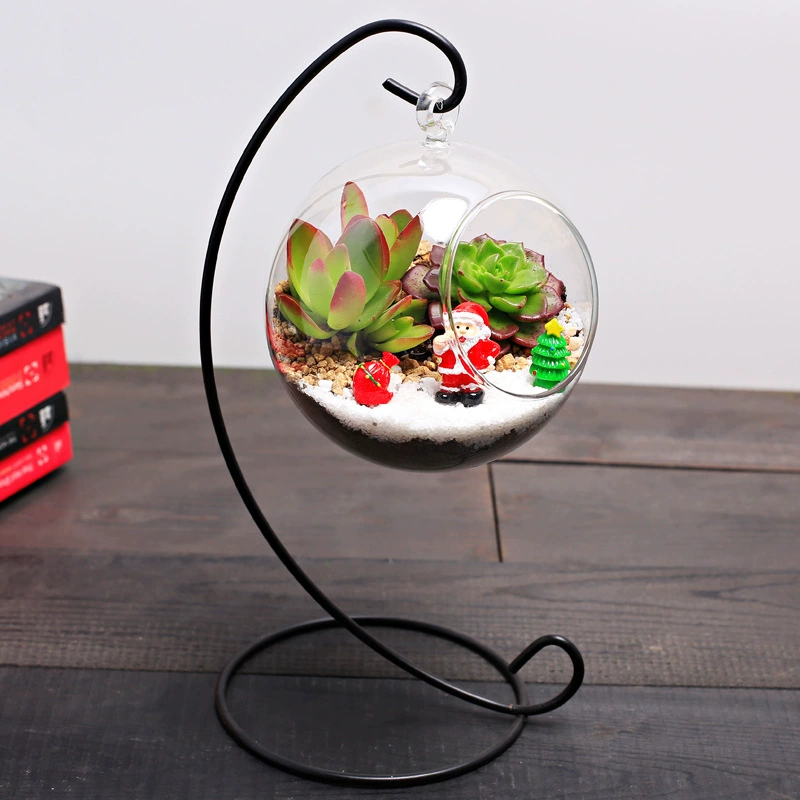 10 см рождественские свежие суккуленты маленькие горшечные растения микропейзаж украшения экологическая стеклянная бутылка шариковый цилиндр DIY материал