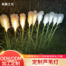 批发LED芦苇灯 户外防雨景区亮化装饰造型灯公园仿真植物草坪灯