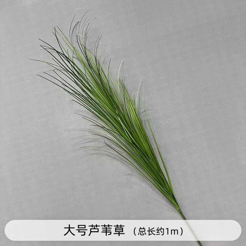 芦荀草绿植花龙须草假花白绿森系婚庆装饰自然风背景插花路引|undefined