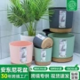 环球加厚塑料树脂加仑盆