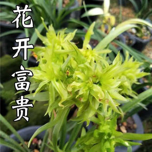 ��Ư�� ��߅���N�m�� �Qˇ߅ˇ ���m�ļ��m��������