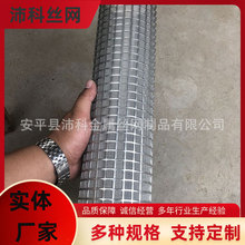 �N�ۈA�β��P��^�VͰ  ���P��^�VͰ  �^�VͰ