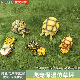 ���������ƺ�،m����������������x���B�|�ķ���ص�̺