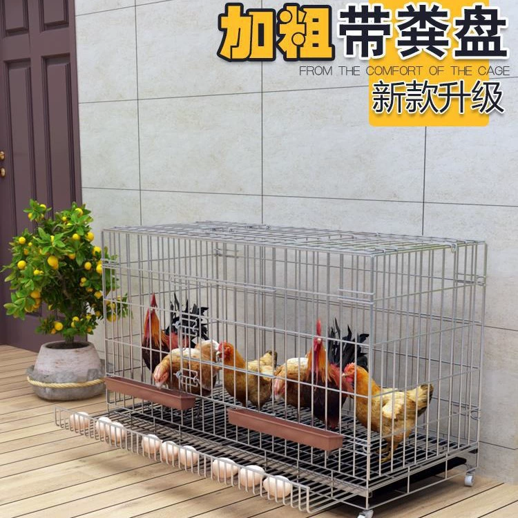 Куриная клетка Домашняя куриная клетка большой размер Автоматическая очистка навоза складная клетка