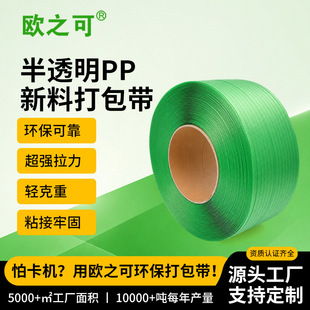 PPWR�h��pp�������͸���Gɫ���ϙC�ô���������������������