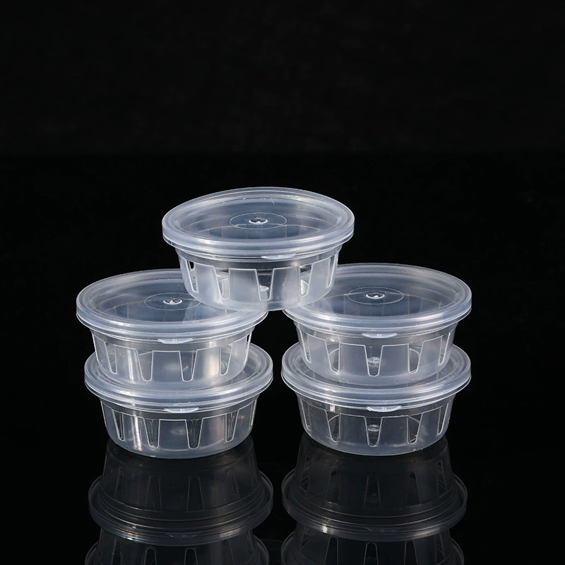 Одноразовая черепаха маленький пластиковый питомец маленькая черепаха банка прозрачная пластиковая коробка маленькая круглая коробка канцелярские принадлежности