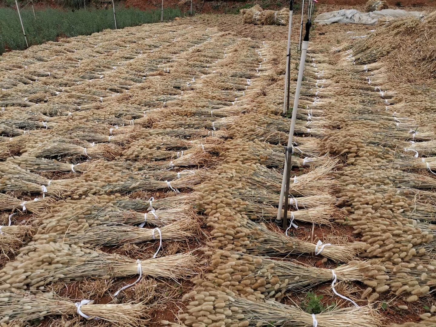 O1CN01gIeJcU1vdMPKTDjjK_!!2212876546195-0-cib.jpg?__r__=1667636680246