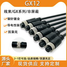 航空插注塑母頭全膠帶線雙頭母GX12插頭插座2芯3 4 5 6芯 M12帶線