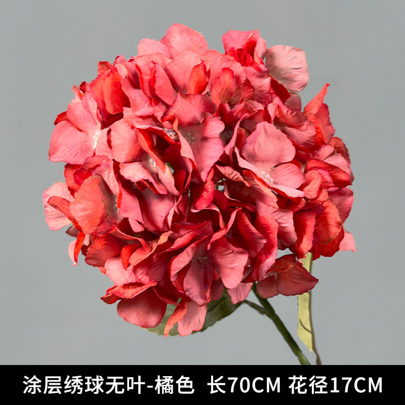 涂层绣球无叶