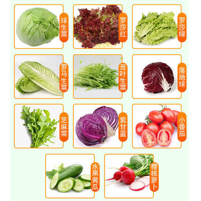 蔬菜沙拉套餐150g/包包混合生菜新鲜蔬菜即轻食餐|ms