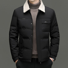 2024���b�¿���������ʿ��q��Óжë�I�̿ů���׌��ɊA������