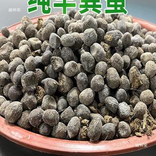 ������S�̨������S�l���ЙC�ʷ��ϻ����¼����w�������߲˼S��