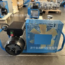 消防正压式空气呼吸器充气泵潜水高压气瓶压缩机30MPA填充泵