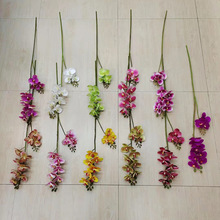 ����3D��ӡ10�^�z������m��c�[�O���þӼ��҃��b��k���Ҕ[��