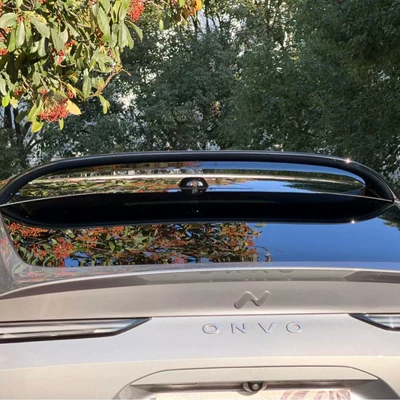 Sports Rear Wing, Glossy Black Version, Spoiler