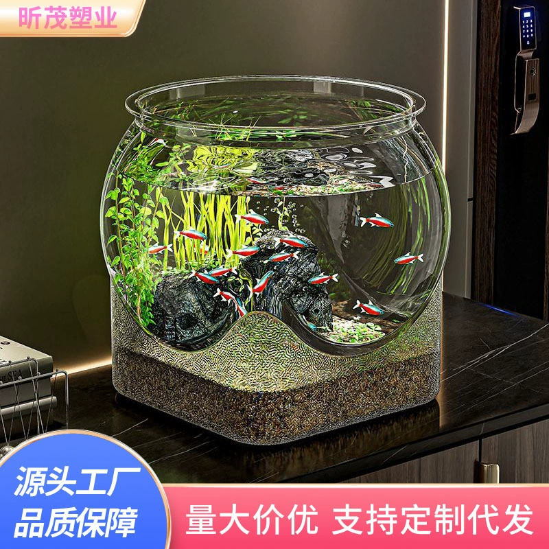 Настольный аквариум Офисная гостиная Небольшой экологический вид