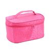 Capacious cosmetic bag for traveling, handheld small storage box, Korean style, internet celebrity