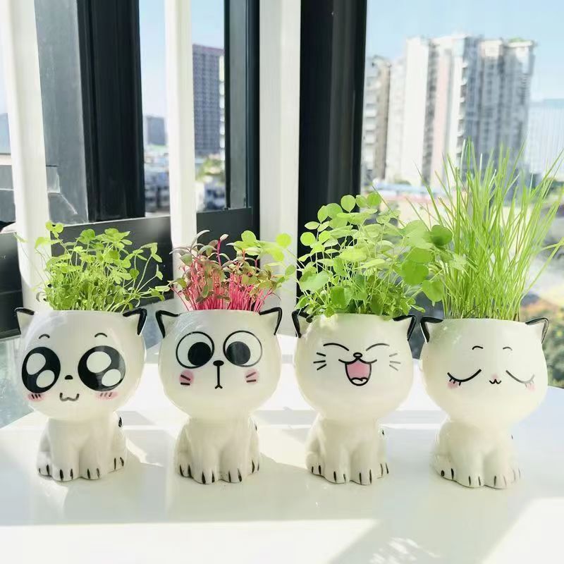 Long Grass Head Doll Ceramic Cartoon Cat Selling Cute Expression Cat Crafts Plant Potted Office Small Green Plants Long Grass Head Doll Ceramic Cartoon Cat Selling Cute Expression Cat Crafts Plant Potted Office Small Green Plants