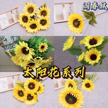 ���滨���տ�̫ꖻ�ϵ����@�L��c���������bٻ������S�����l