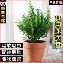 �Ե�������ţ���ð������ʳ�ñ����~���K���r�_�������ֲ���{��