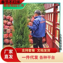 һlؘɰؘؘĹɰؘ猚ɰؘ