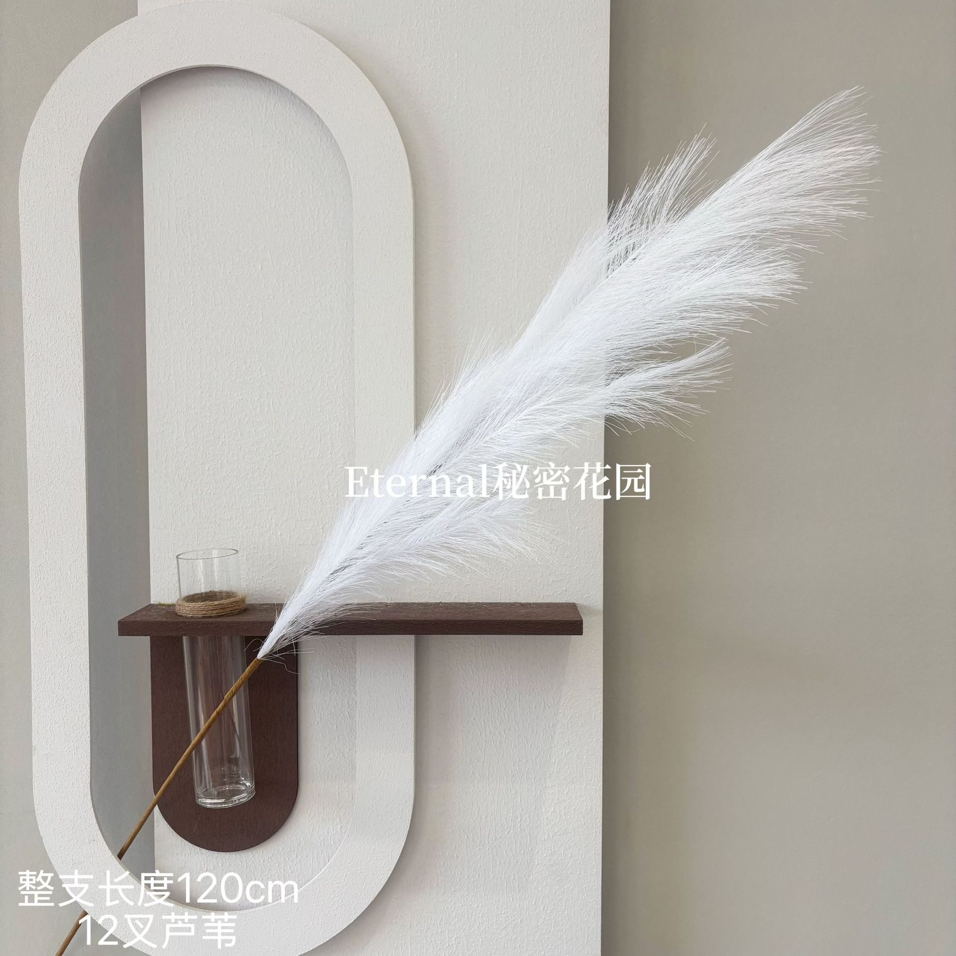 불꽃 갈대 순백색