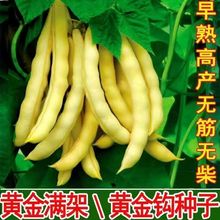 �S���h�ܶ��N���S�𹴖|���Ͷ����џo��o���Sɫ�߲˷N��