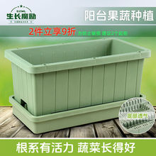 �Ӻ��L���ηNֲ���̨���߲˷N��ݮ���ԷNֲ�����ϻ��莧�бP���]