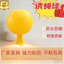 �Tω���ω�T�������ٹϹ���ωճ�x���҃ȼ���ȥ�����x�T�nω�w�x